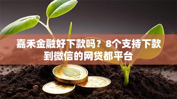 嘉禾金融好下款吗？8个支持下款到微信的网贷都平台