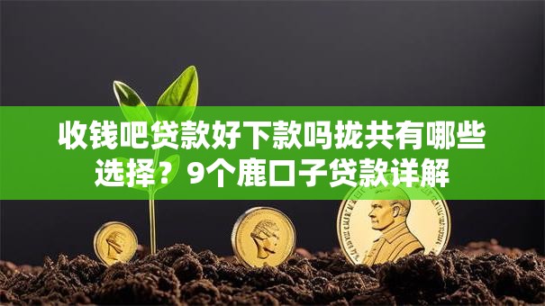 收钱吧贷款好下款吗拢共有哪些选择？9个鹿口子贷款详解