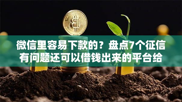 微信里容易下款的？盘点7个征信有问题还可以借钱出来的平台给你参考