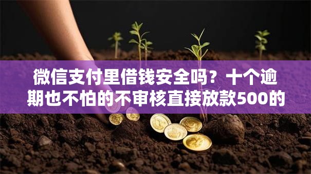 微信支付里借钱安全吗？十个逾期也不怕的不审核直接放款500的平台