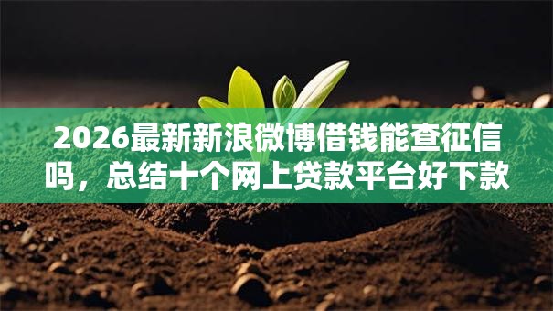 2026最新新浪微博借钱能查征信吗，总结十个网上贷款平台好下款！