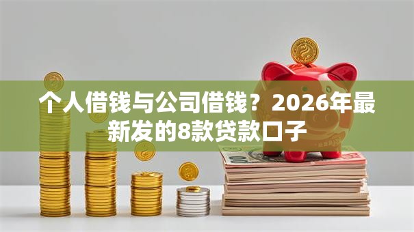个人借钱与公司借钱？2026年最新发的8款贷款口子