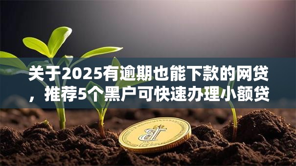 关于2025有逾期也能下款的网贷，推荐5个黑户可快速办理小额贷款业务的平台给你
