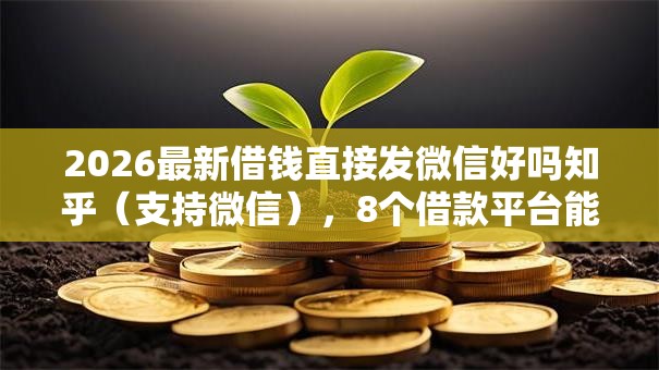 2026最新借钱直接发微信好吗知乎（支持微信），8个借款平台能贷款无私分享
