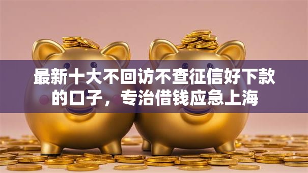 最新十大不回访不查征信好下款的口子，专治借钱应急上海