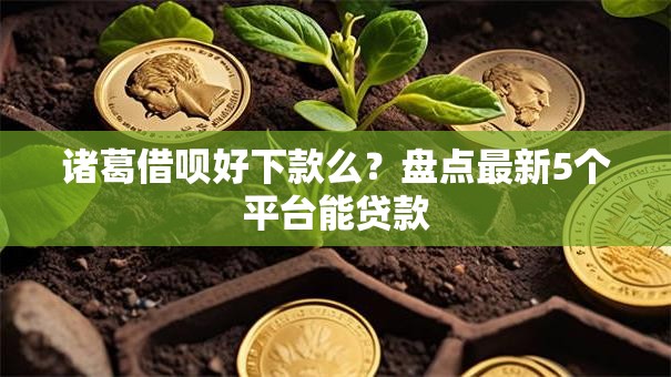 诸葛借呗好下款么？盘点最新5个平台能贷款