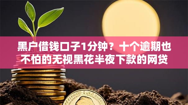 黑户借钱口子1分钟？十个逾期也不怕的无视黑花半夜下款的网贷软件