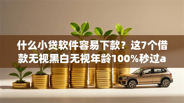 什么小贷软件容易下款？这7个借款无视黑白无视年龄100%秒过app值得一试