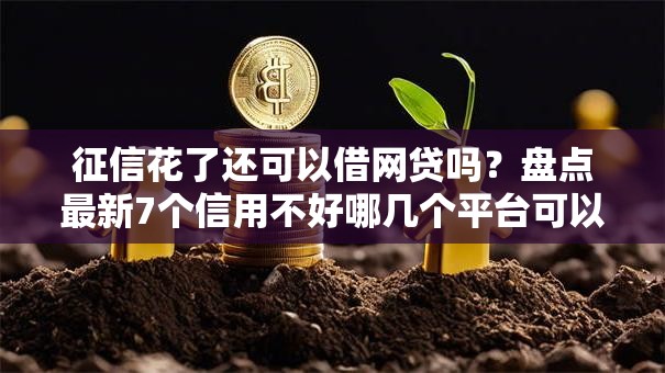 征信花了还可以借网贷吗？盘点最新7个信用不好哪几个平台可以借钱