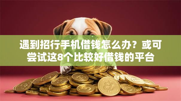 遇到招行手机借钱怎么办？或可尝试这8个比较好借钱的平台
