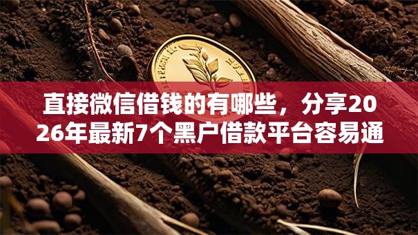 直接微信借钱的有哪些，分享2026年最新7个黑户借款平台容易通过审核