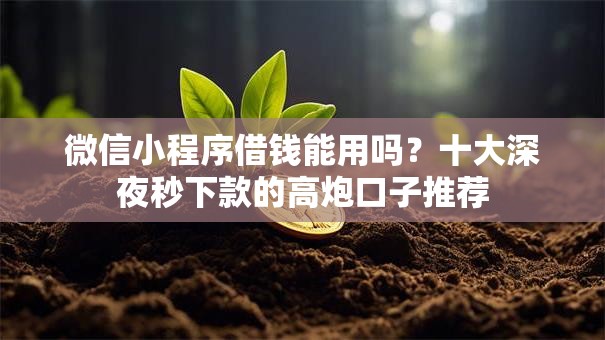 微信小程序借钱能用吗？十大深夜秒下款的高炮口子推荐