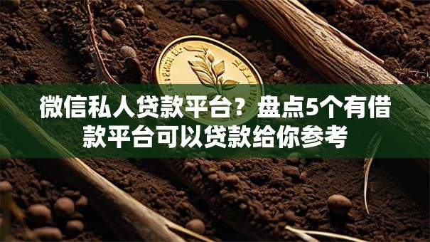 微信私人贷款平台？盘点5个有借款平台可以贷款给你参考