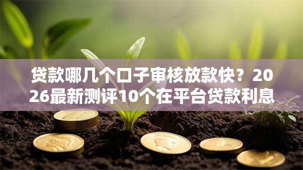 贷款哪几个口子审核放款快？2026最新测评10个在平台贷款利息低又安全