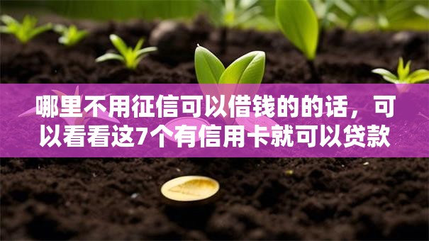 哪里不用征信可以借钱的的话，可以看看这7个有信用卡就可以贷款的平台