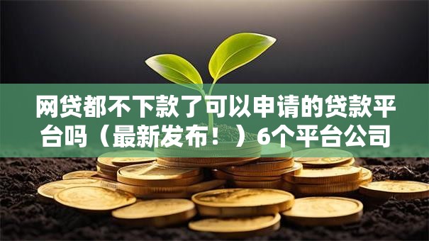 网贷都不下款了可以申请的贷款平台吗（最新发布！）6个平台公司贷款