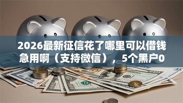 2026最新征信花了哪里可以借钱急用啊（支持微信），5个黑户0门槛贷款口子无私分享