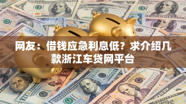 网友：借钱应急利息低？求介绍几款浙江车贷网平台