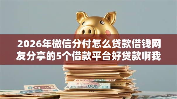 2026年微信分付怎么贷款借钱网友分享的5个借款平台好贷款啊我觉得不错！