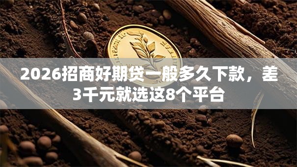 2026招商好期贷一般多久下款，差3千元就选这8个平台