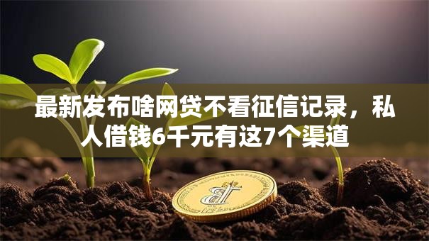 最新发布啥网贷不看征信记录，私人借钱6千元有这7个渠道