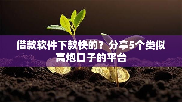 借款软件下款快的？分享5个类似高炮口子的平台
