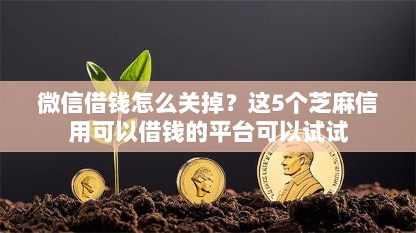 微信借钱怎么关掉？这5个芝麻信用可以借钱的平台可以试试
