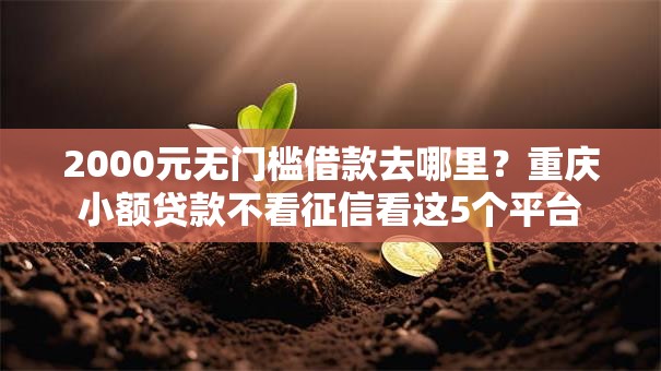2000元无门槛借款去哪里？重庆小额贷款不看征信看这5个平台