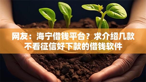 网友：海宁借钱平台？求介绍几款不看征信好下款的借钱软件