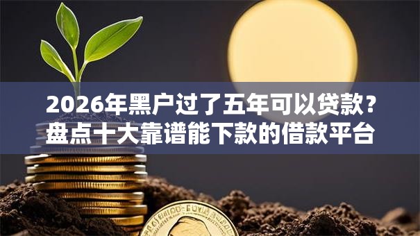 2026年黑户过了五年可以贷款？盘点十大靠谱能下款的借款平台2025