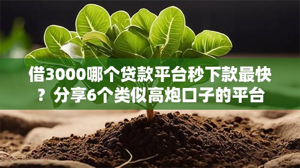 借3000哪个贷款平台秒下款最快？分享6个类似高炮口子的平台
