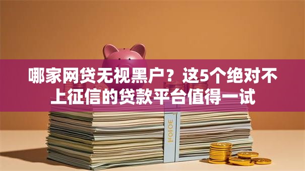 哪家网贷无视黑户？这5个绝对不上征信的贷款平台值得一试