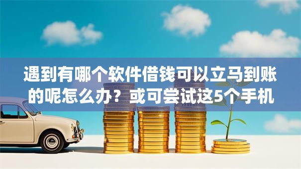 遇到有哪个软件借钱可以立马到账的呢怎么办？或可尝试这5个手机身份证秒借现金的app
