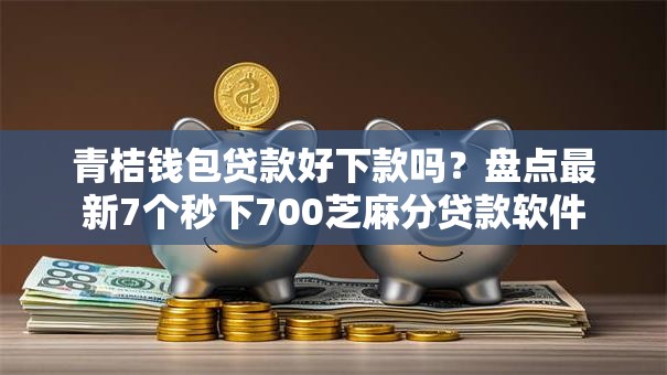 青桔钱包贷款好下款吗？盘点最新7个秒下700芝麻分贷款软件