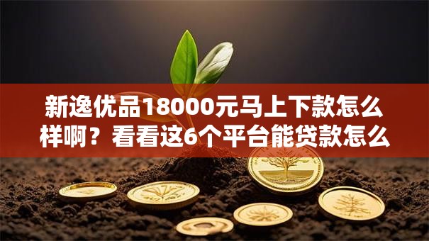 新逸优品18000元马上下款怎么样啊？看看这6个平台能贷款怎么样