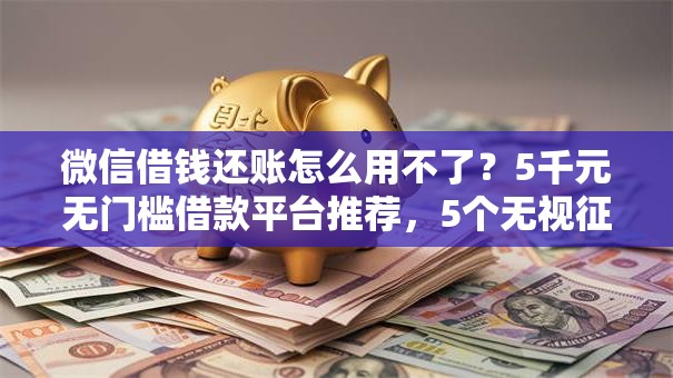 微信借钱还账怎么用不了？5千元无门槛借款平台推荐，5个无视征信黑白100%秒下平台盘点