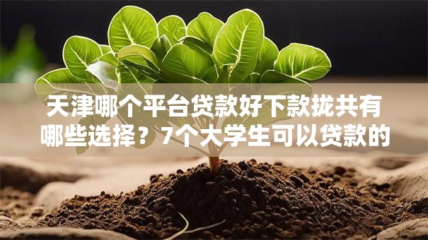 天津哪个平台贷款好下款拢共有哪些选择？7个大学生可以贷款的平台详解