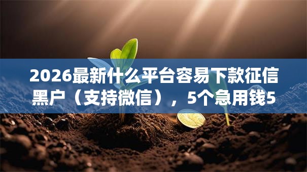 2026最新什么平台容易下款征信黑户（支持微信），5个急用钱5000快审快贷无需征信app无私分享