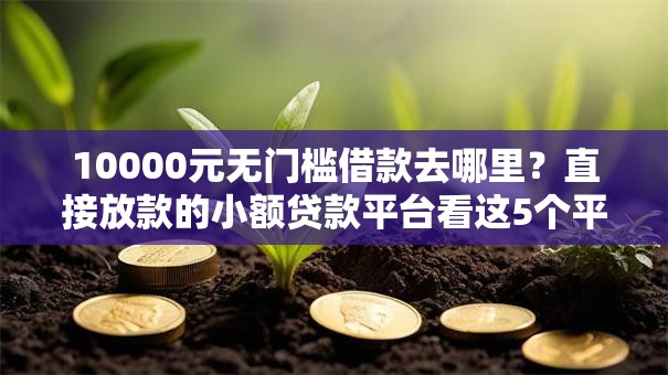 10000元无门槛借款去哪里？直接放款的小额贷款平台看这5个平台