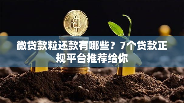 微贷款粒还款有哪些？7个贷款正规平台推荐给你