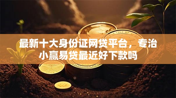 最新十大身份证网贷平台，专治小赢易贷最近好下款吗