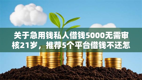 关于急用钱私人借钱5000无需审核21岁，推荐5个平台借钱不还怎么处理给你