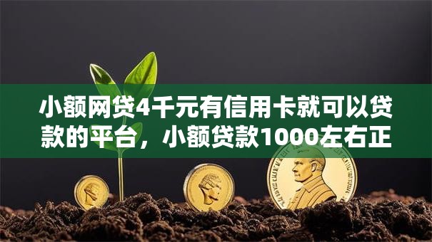 小额网贷4千元有信用卡就可以贷款的平台，小额贷款1000左右正规平台有哪些的7个平台介绍