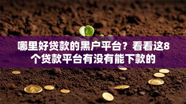 哪里好贷款的黑户平台？看看这8个贷款平台有没有能下款的