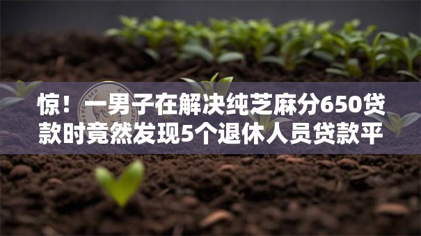 惊！一男子在解决纯芝麻分650贷款时竟然发现5个退休人员贷款平台，事后分享了出来