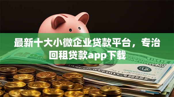 最新十大小微企业贷款平台，专治回租贷款app下载