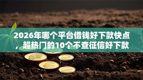 2026年哪个平台借钱好下款快点，超热门的10个不查征信好下款的网贷口子推荐