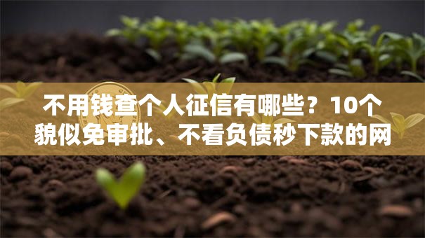 不用钱查个人征信有哪些？10个貌似免审批、不看负债秒下款的网贷口子合集