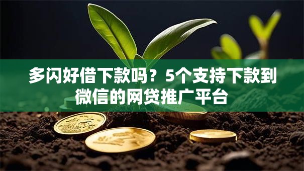 多闪好借下款吗？5个支持下款到微信的网贷推广平台