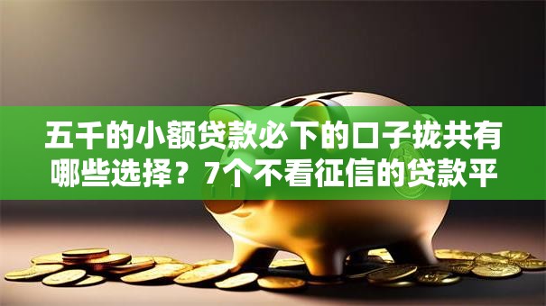 五千的小额贷款必下的口子拢共有哪些选择？7个不看征信的贷款平台一定能下款详解
